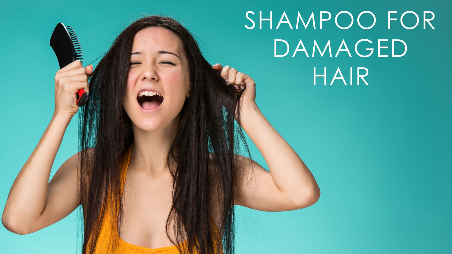 homemade shampoo for dry, damaged hair
