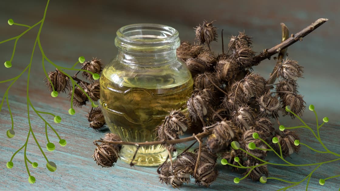 using Castor Oil To Ensure Thick And Silky Hair